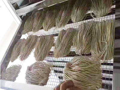 آلة تجفيف المعكرونة