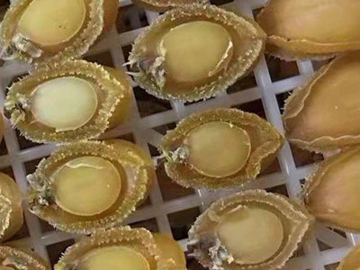 مأكولات بحرية